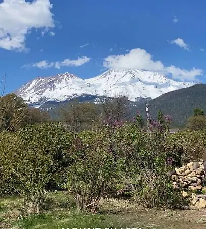 Angel Cottage With A Sauna Or The Cozy With A Jacuzzi Tub, Both Are Studios With A View Of Mount Shasta